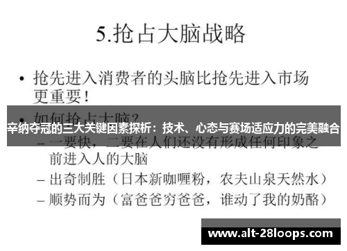 辛纳夺冠的三大关键因素探析：技术、心态与赛场适应力的完美融合